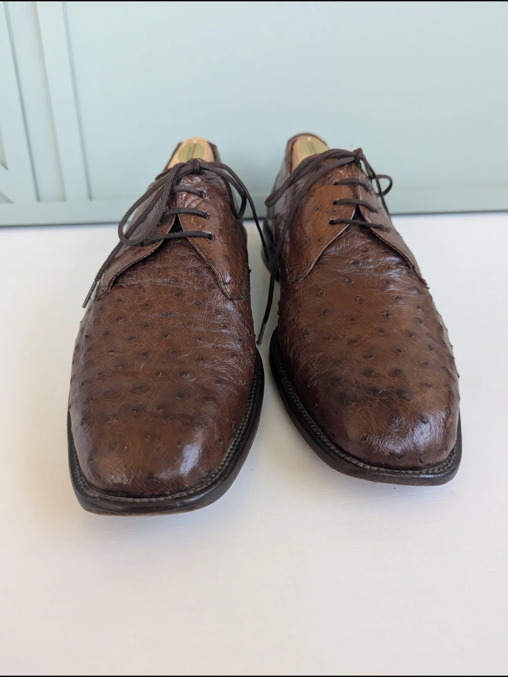 Mezlan handcrafted ostrich